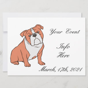 Bulldog Breed Thunder_Cove 