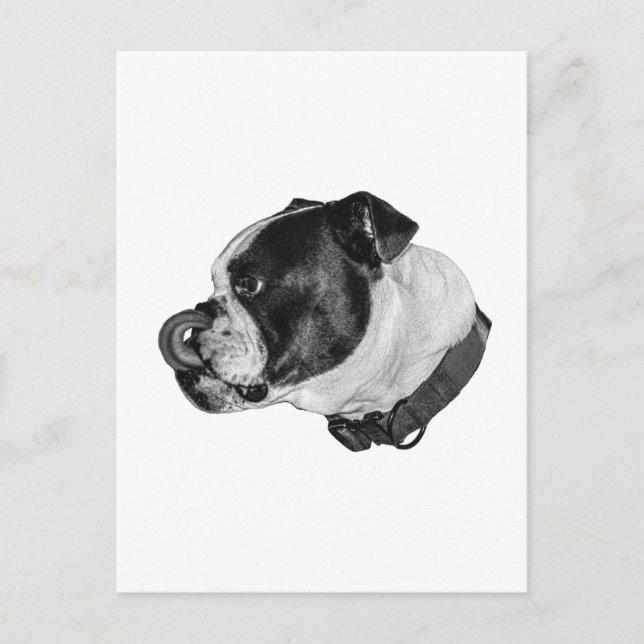 Bulldog Calm Mail Postcard (Front)