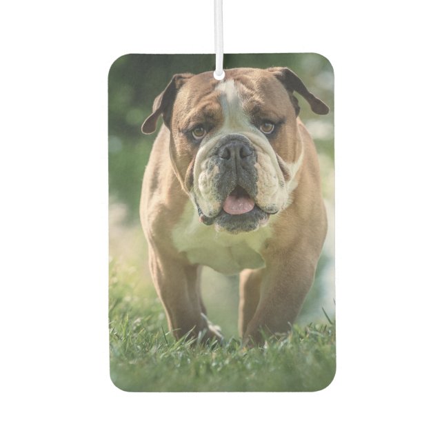 Bulldog Car Air Freshener (Front)