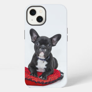 bulldog Case-Mate iPhone case