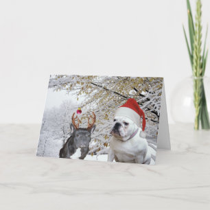 Bulldog Christmas 2 Holiday Card