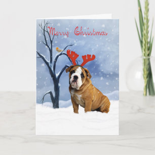 bulldog christmas card - bulldog has reindeer antl