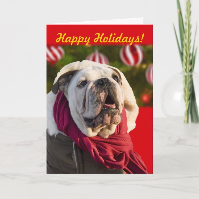 Bulldog Christmas cards (Front)