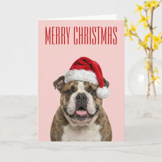 Bulldog Christmas Cheer Card