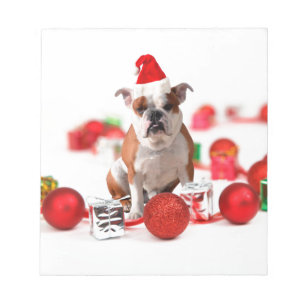 Bulldog Christmas Gift Box Ornaments Red Santa Hat Notepad