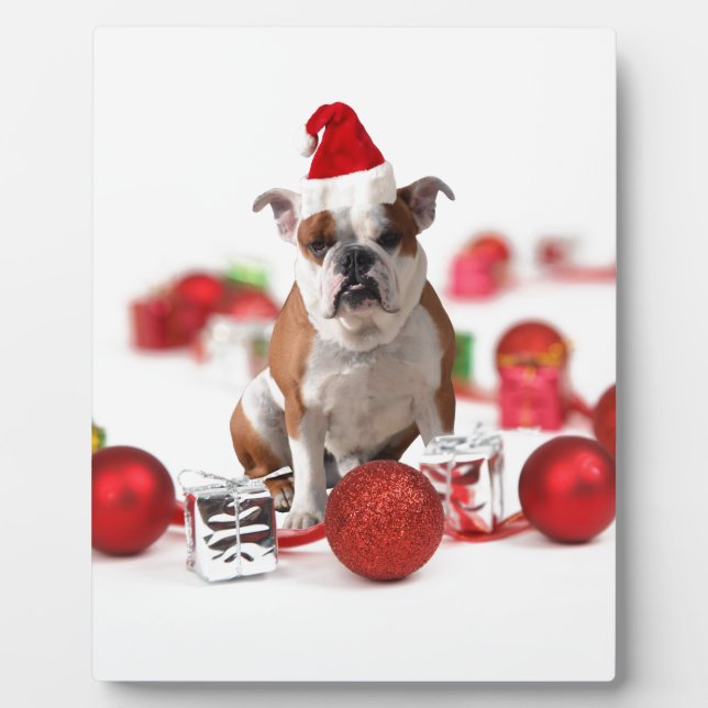 Bulldog Christmas Gift Box Ornaments Red Santa Hat Plaque (Front)