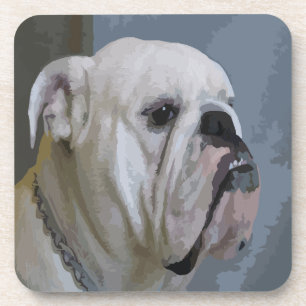 bulldog coaster