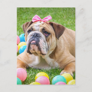 Bulldog Cute Easter Animal Dog Hundeportrait Pet Holiday Postcard