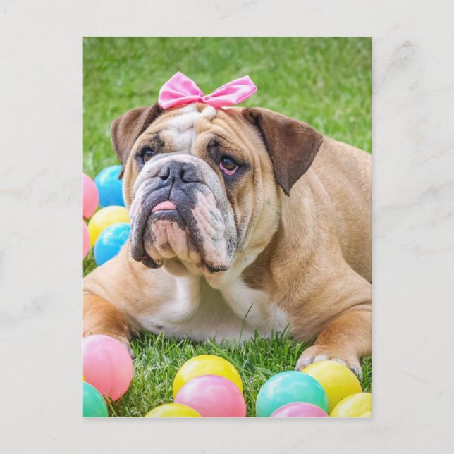 Bulldog Cute Easter Animal Dog Hundeportrait Pet Holiday Postcard (Front)