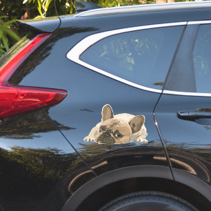 BULLDOG CUTE PUPPY BIG DIE-CUT STICKER 4 CAR