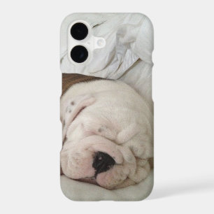 Bulldog Cute Sleeping Puppy