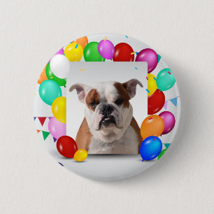 Bulldog Dog with colourful Balloons Birthday Theme 6 Cm Round Badge