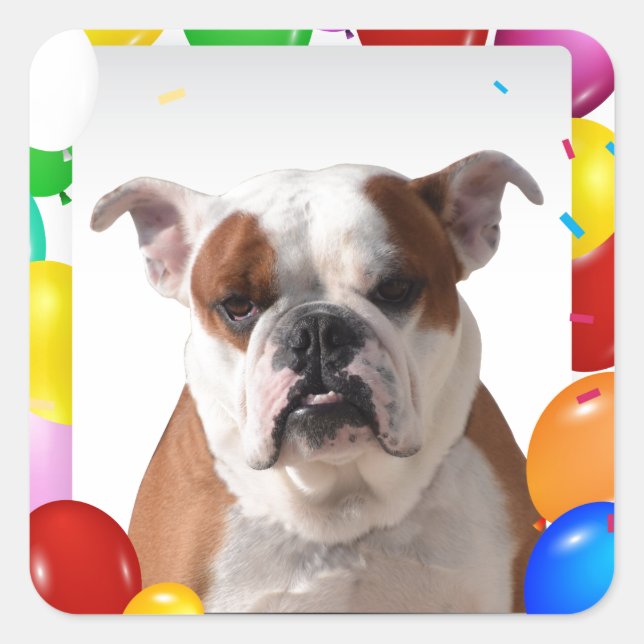 Bulldog Dog with colourful Balloons Birthday Theme Square Sticker (Front)