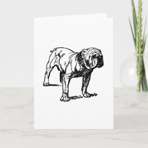 bulldog drawing card