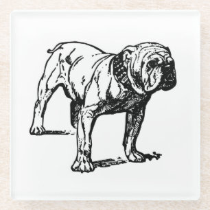 bulldog drawing glass coaster