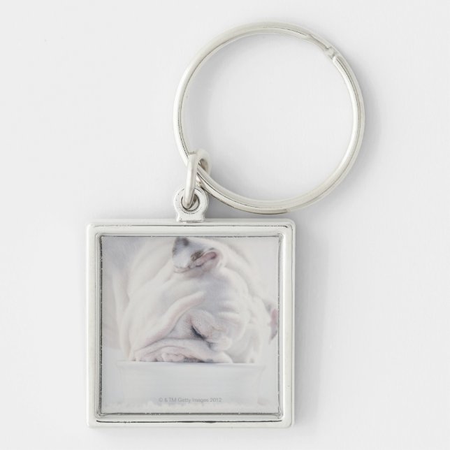 Bulldog Eating Key Ring (Front)