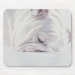 Bulldog Eating Mouse Mat