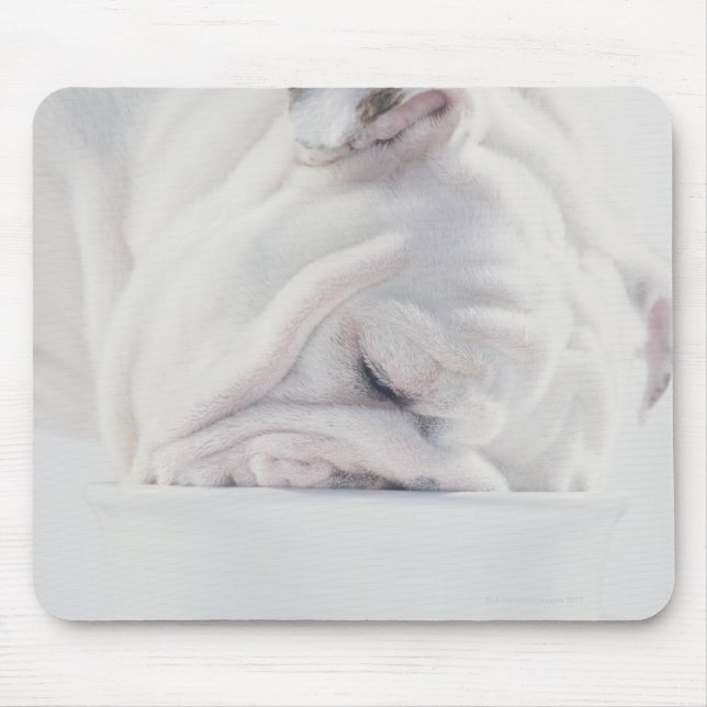 Bulldog Eating Mouse Mat (Front)