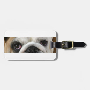 Bulldog Eyes Luggage Tag