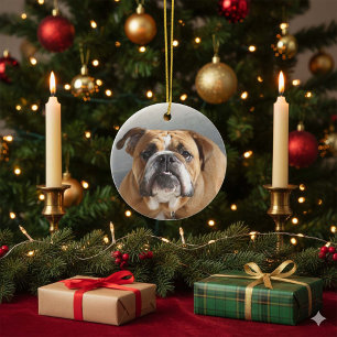 Bulldog Face - English Bulldog, Brown Ceramic Tree Decoration