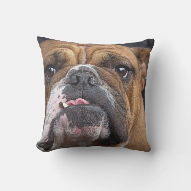 BULLDOG FACE FOCUS OUTDOOR CUSHION (Front)