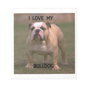 bulldog fawn and white love w pic notepad