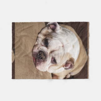 bulldog fleece throw