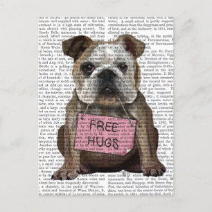 Bulldog Free Hugs Postcard