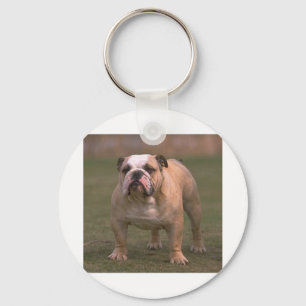 bulldog full 2.png key ring