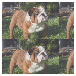 bulldog full.png fabric