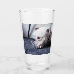 bulldog glass