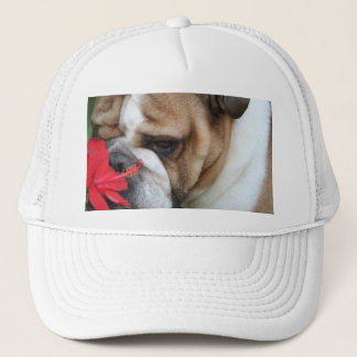 Bulldog Hat "take time to smell the flowers"