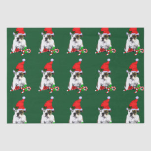Bulldog in Santa Hat Christmas Tissue Paper