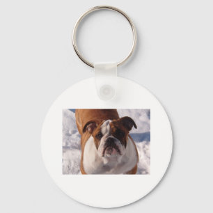 Bulldog Keychain