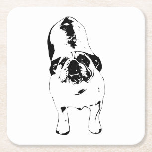 Bulldog—Look Up, Bold B&W  Square Paper Coaster