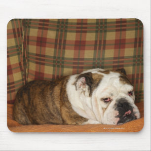 bulldog lying on a sofa mouse mat