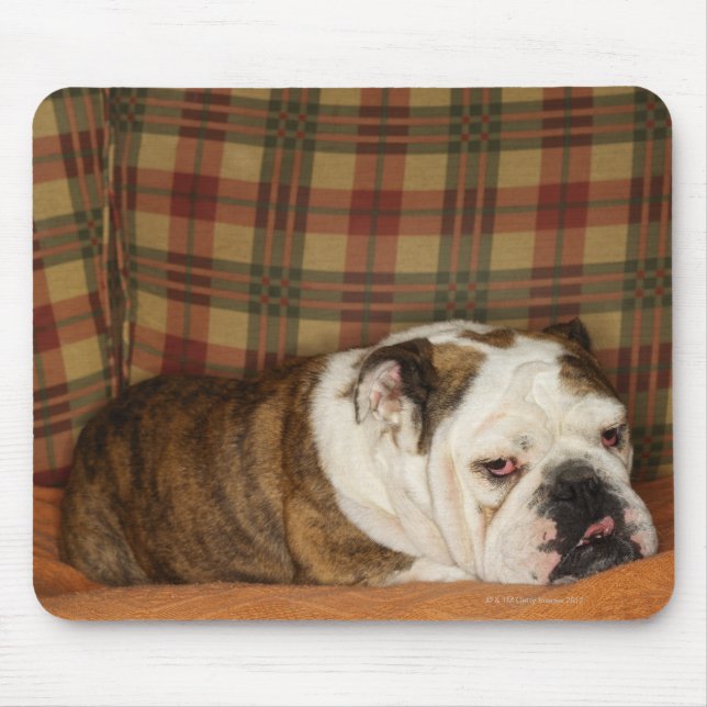 bulldog lying on a sofa mouse mat (Front)