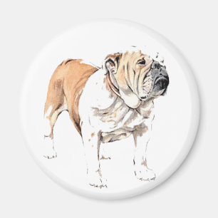Bulldog magnet