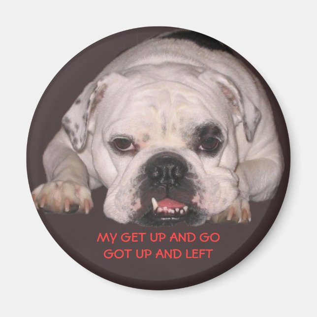 Bulldog Magnet (Front)