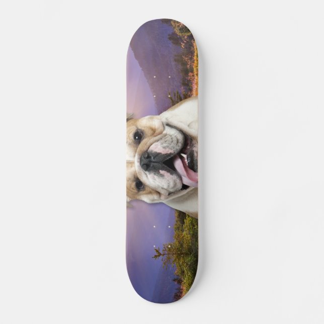 Bulldog Meadow Skateboard (Front)
