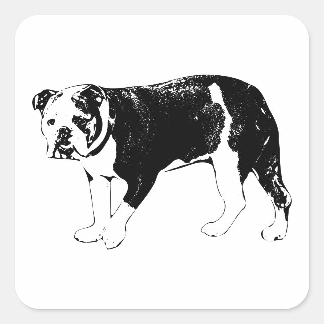 Bulldog Moment, Visual Delight Square Sticker (Front)