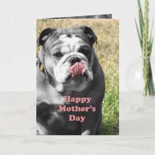 bulldog mother's day card