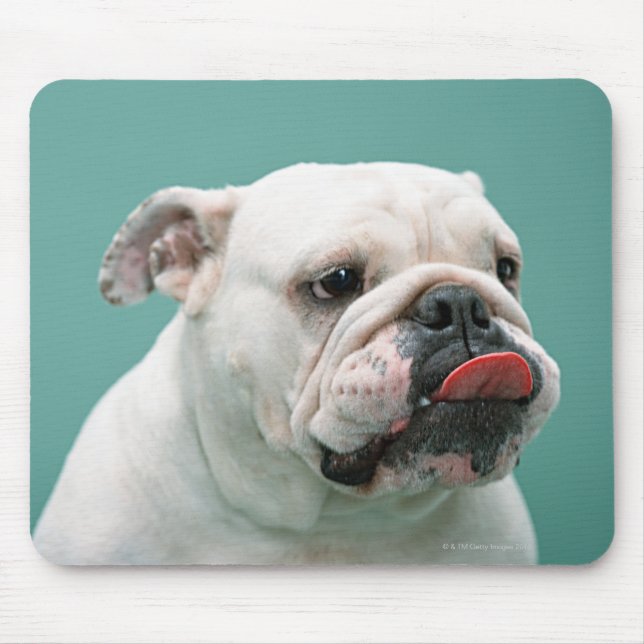 Bulldog Mouse Mat (Front)