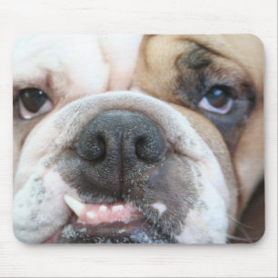 Bulldog Mouse pad