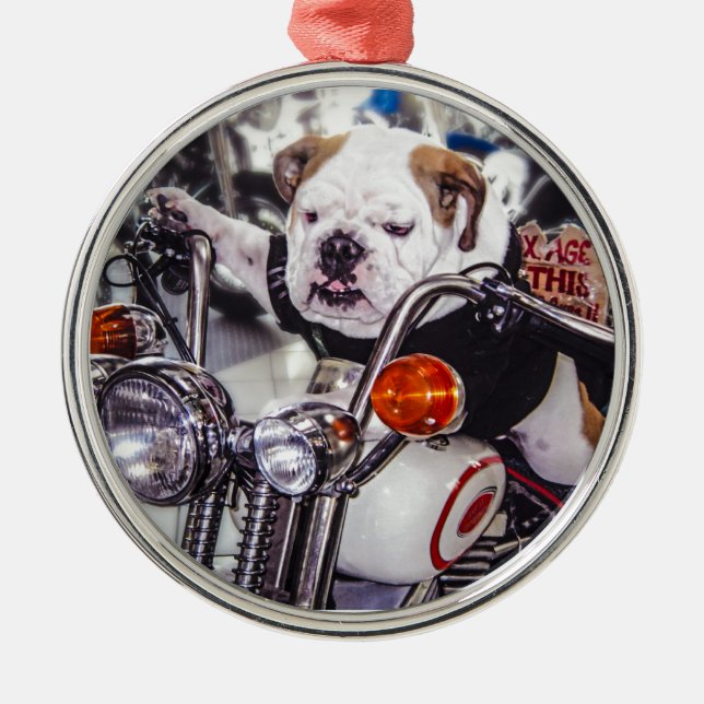 Bulldog on Motorcycle Metal Tree Decoration (Front)