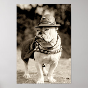 Bulldog on patrol wearing hat and cape poster