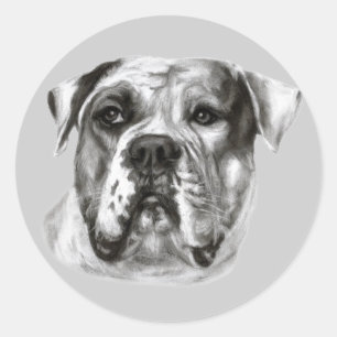 Bulldog Painting Classic Round Sticker
