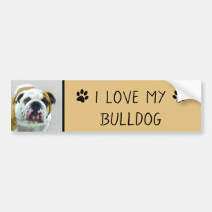 Bulldog Painting - Cute Original Dog Art Bumper Sticker