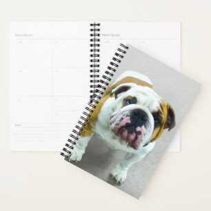 Bulldog Painting - Cute Original Dog Art Planner