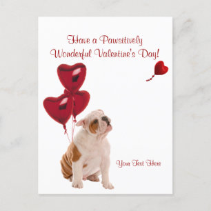 Bulldog Pawsitively Wonderful Valentines Day Wish Holiday Postcard